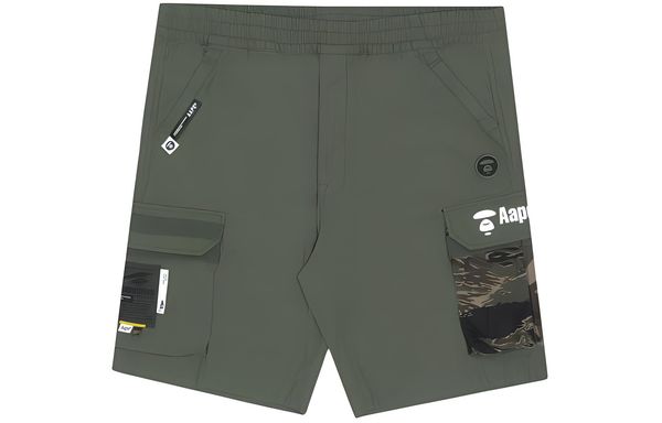 Aape
