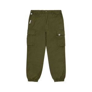 Aape