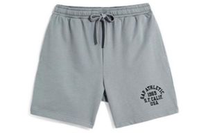 GAP