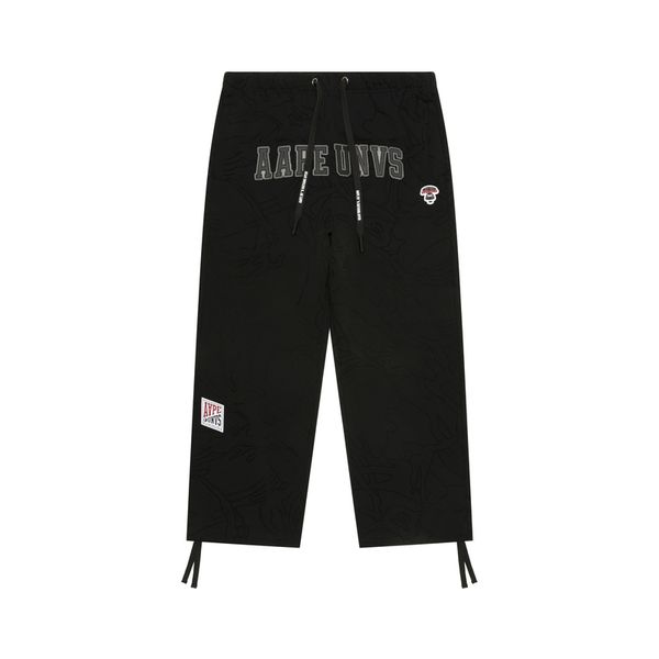 Aape