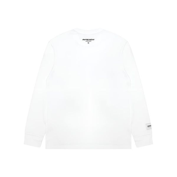 Aape T