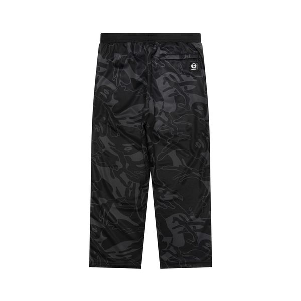 Aape