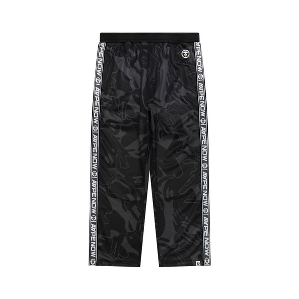 Aape