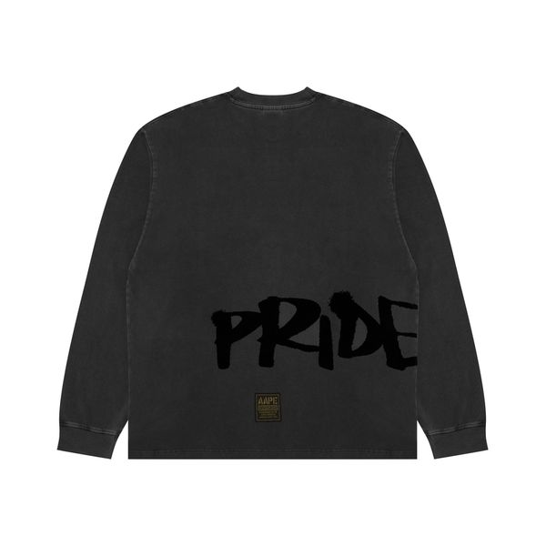 Aape T