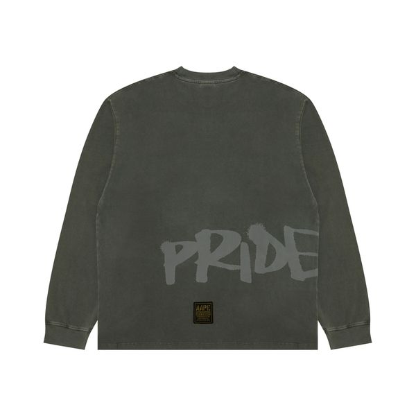 Aape T
