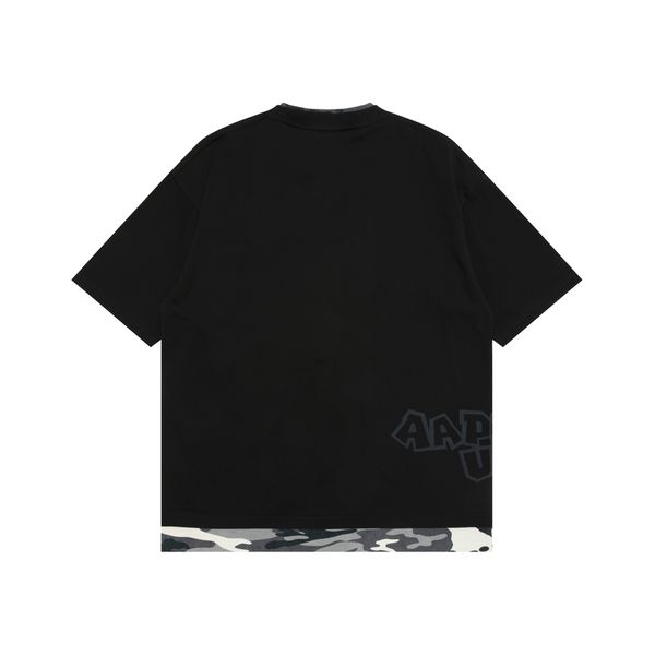 Aape T