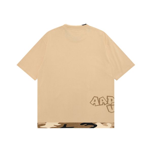Aape T