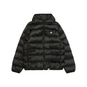 Aape