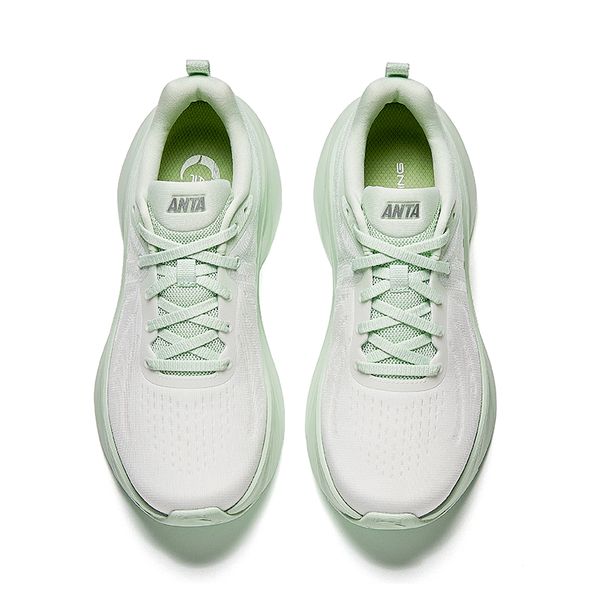 Anta