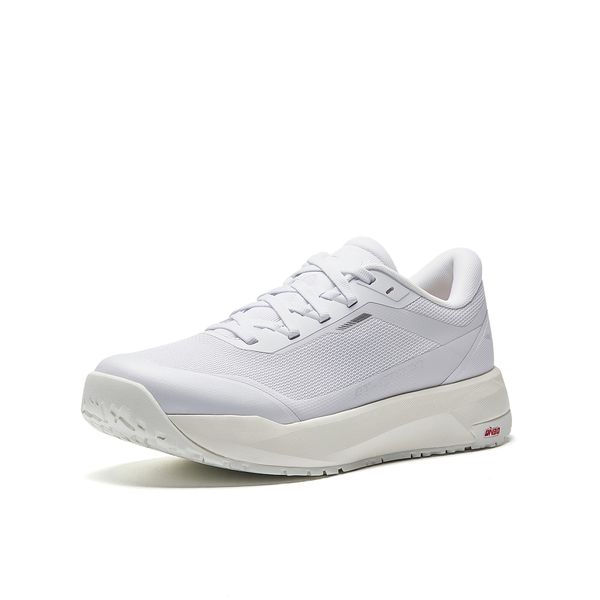 Anta