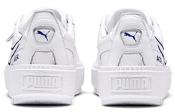 ADER ERROR X PUMA Platform Trace