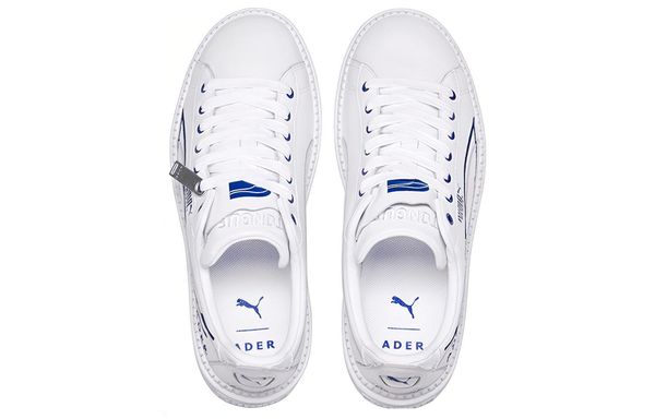ADER ERROR X PUMA Platform Trace