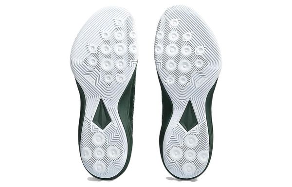 ASICS Nova Flow 2 , 1063A071-300