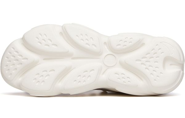 Anta