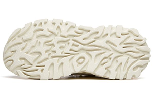 Anta