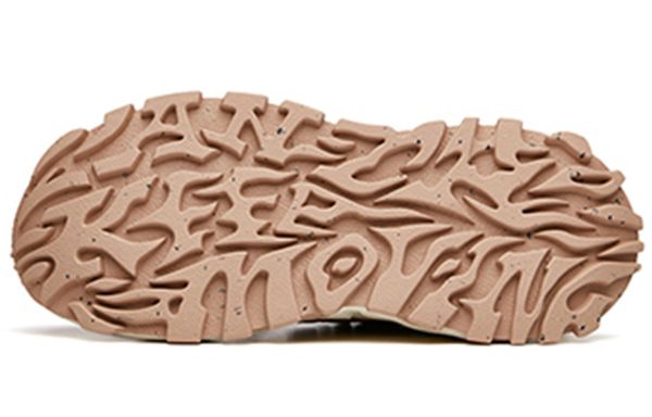 Anta
