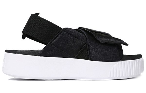 PUMA Platform Slide