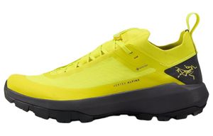 Arcteryx Vertex