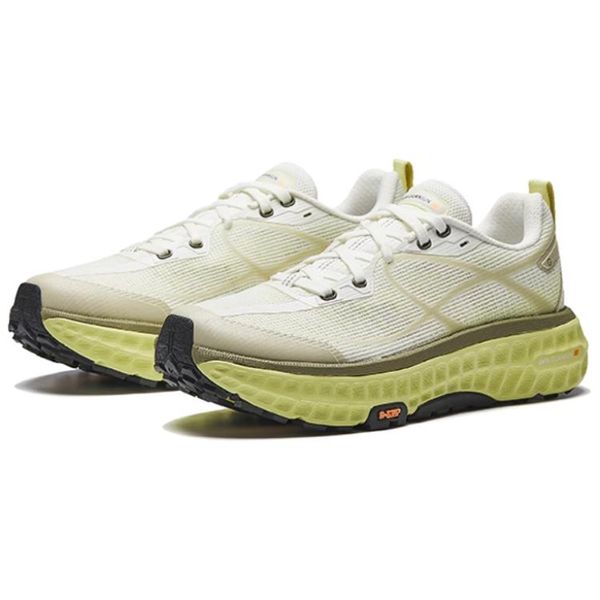 Anta