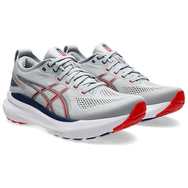 Asics Gel Kayano 31