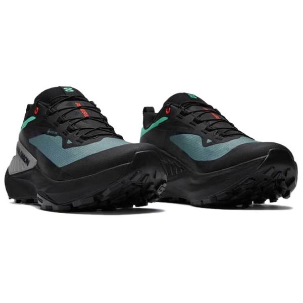 SALOMON Genesis