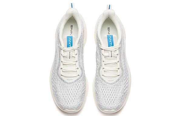 Anta