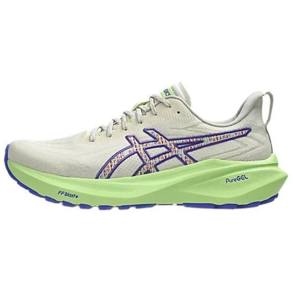 Asics GT 2000 13 TR