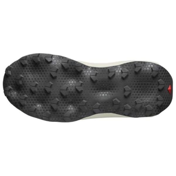 Salomon