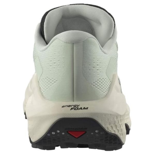Salomon