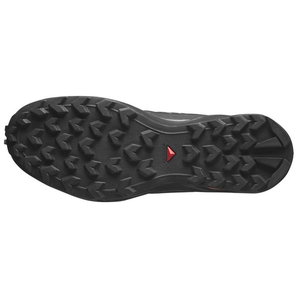 Salomon