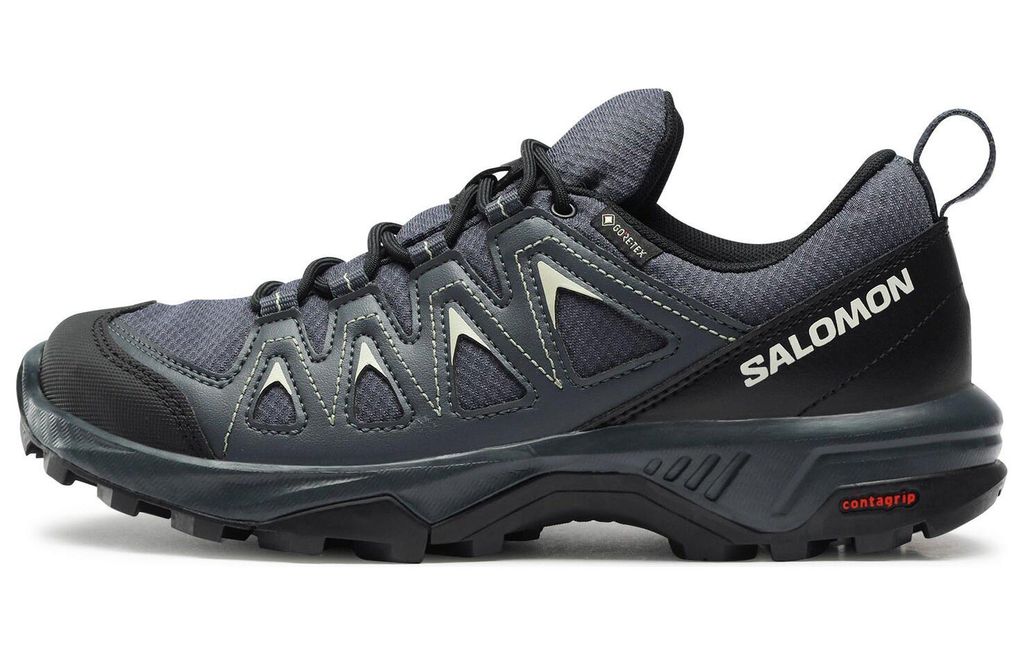 SALOMON X Braze GTX