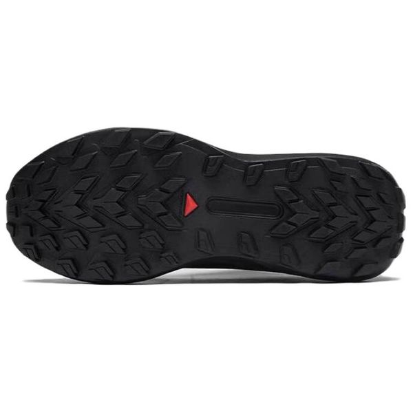 SALOMON Genesis