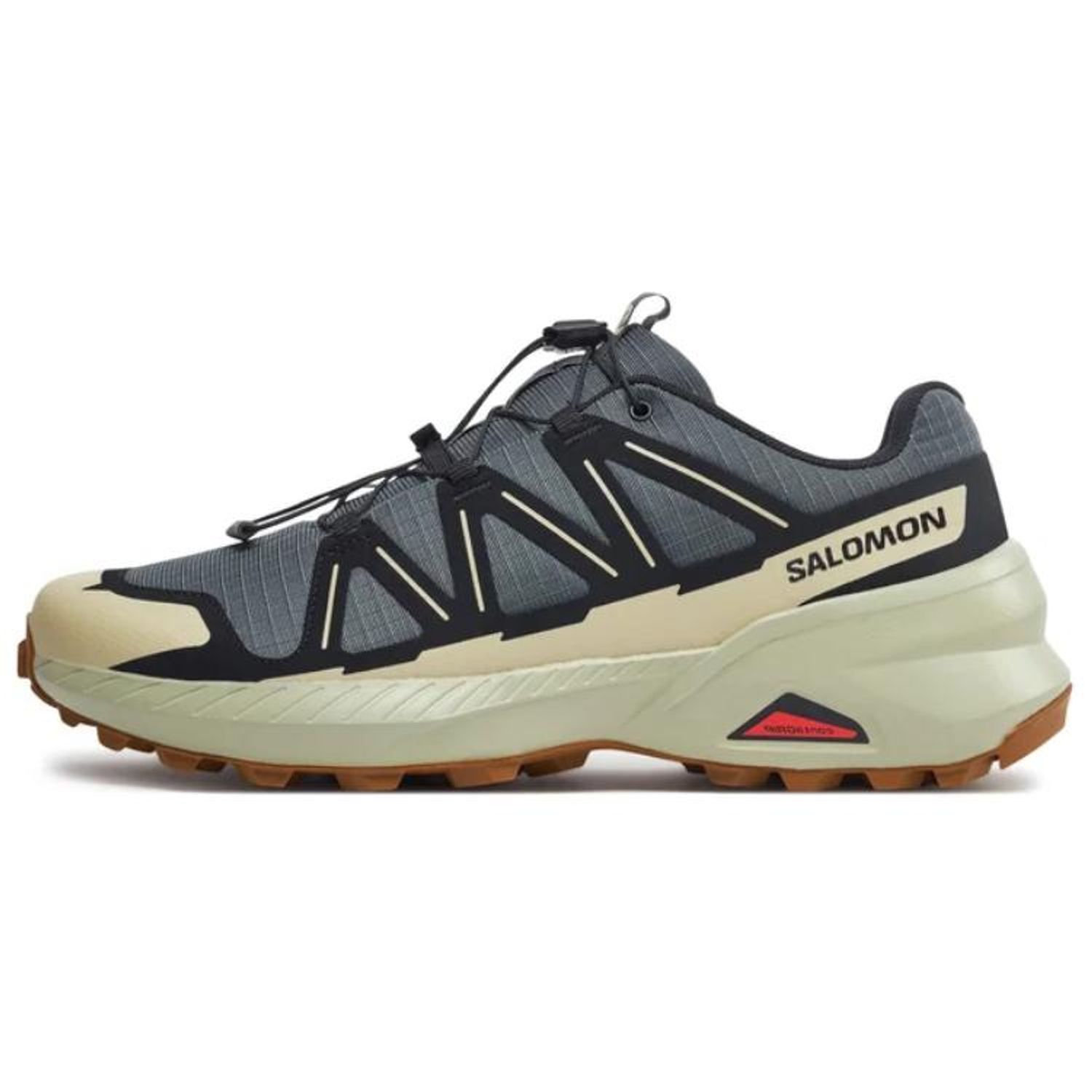 SALOMON