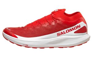 Salomon