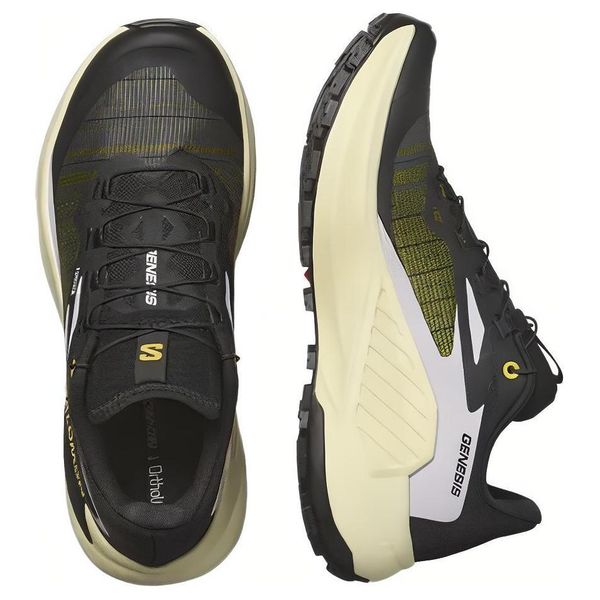 SALOMON Genesis