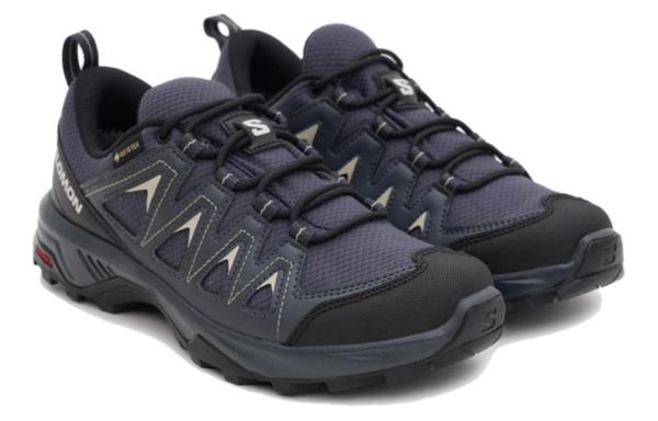 SALOMON X Braze GTX