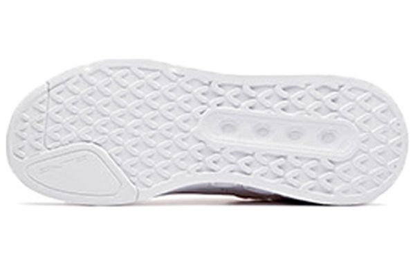 Anta