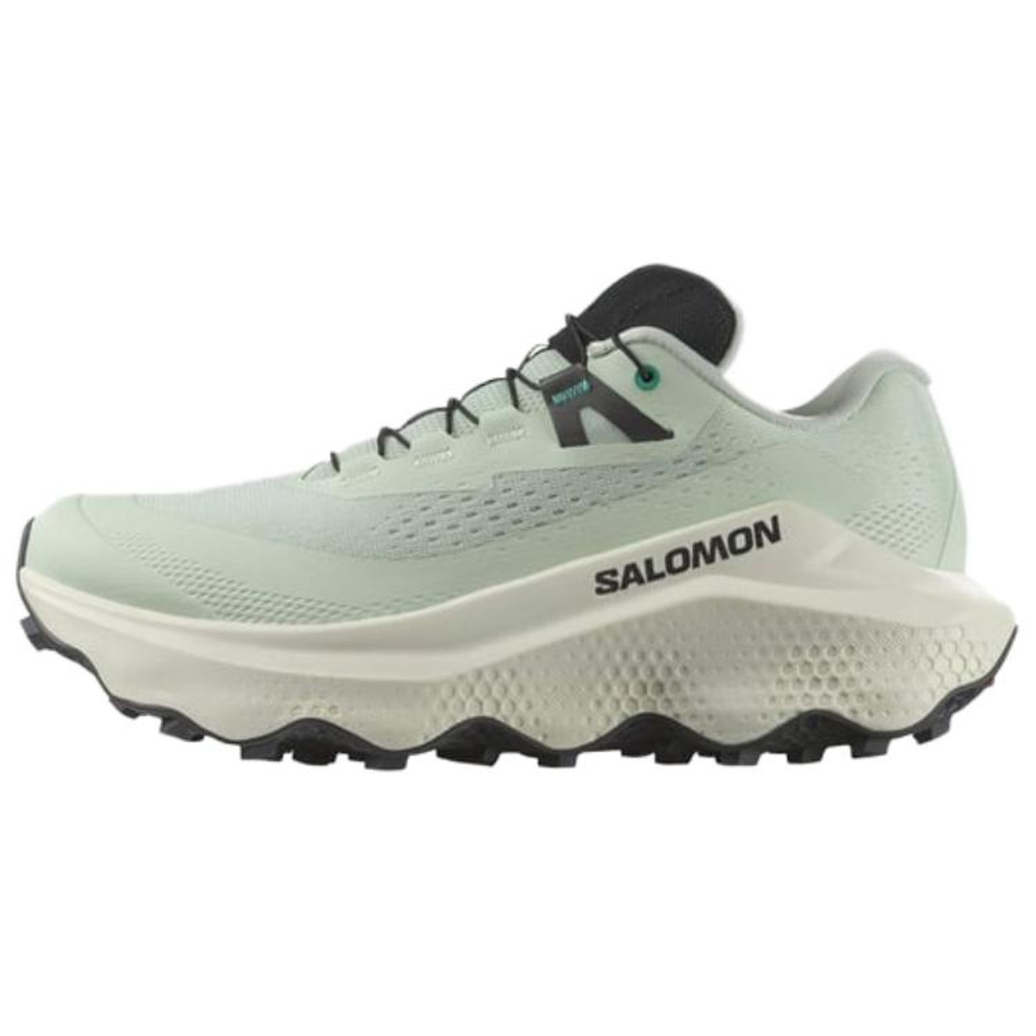 Salomon