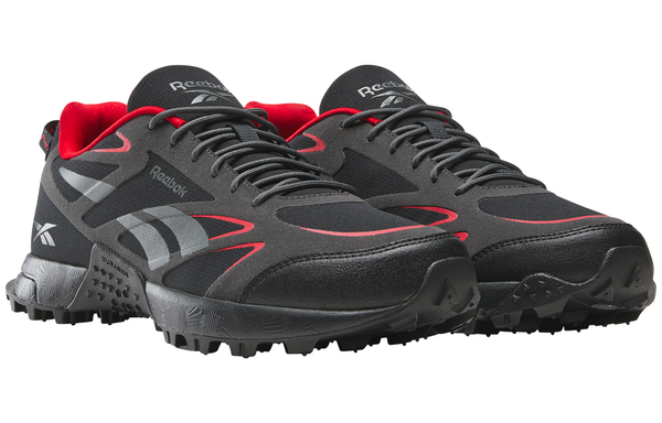 Reebok Low Top