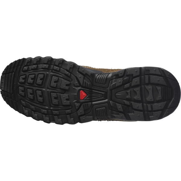 Salomon ACS+ Low Top