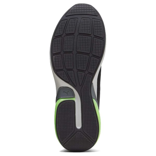 PUMA CELL