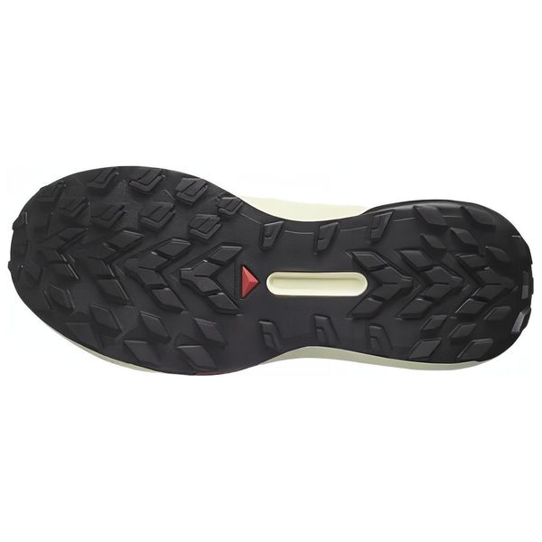 SALOMON Genesis
