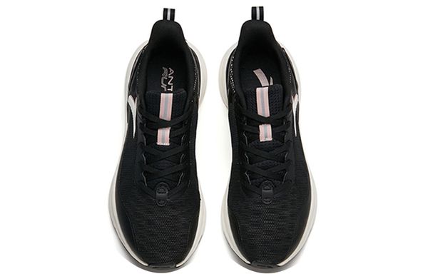 Anta