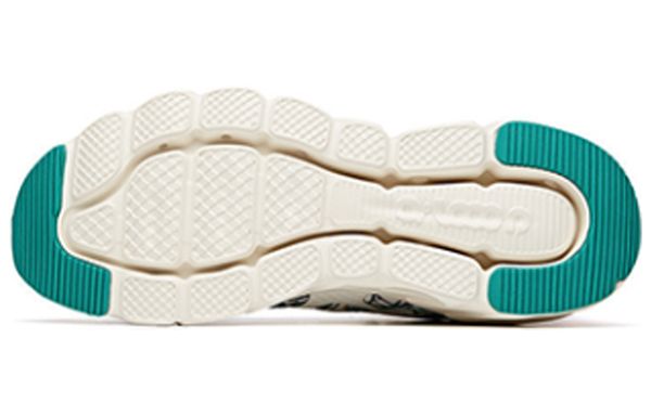 Anta