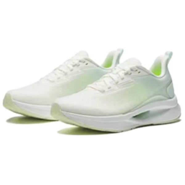 Anta