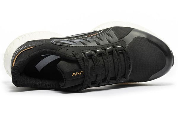 Anta