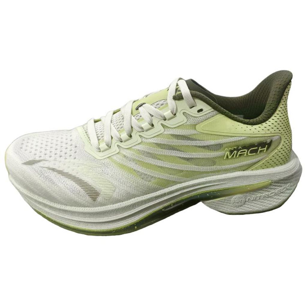 Anta
