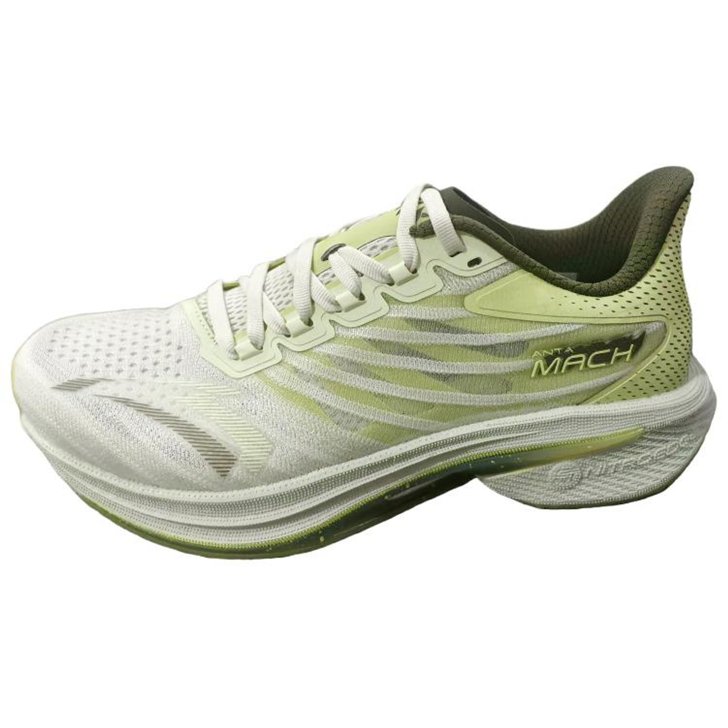 Anta