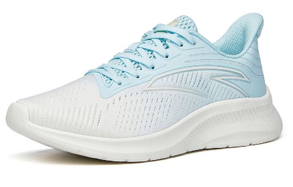 Anta