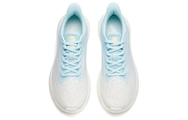 Anta